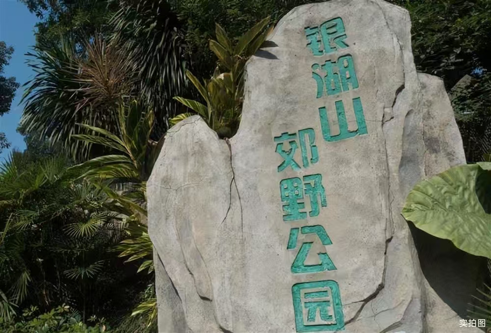 1749635957350117.jpg 64c3ba9f0f55ded04322bb7cfe3c85b.jpg