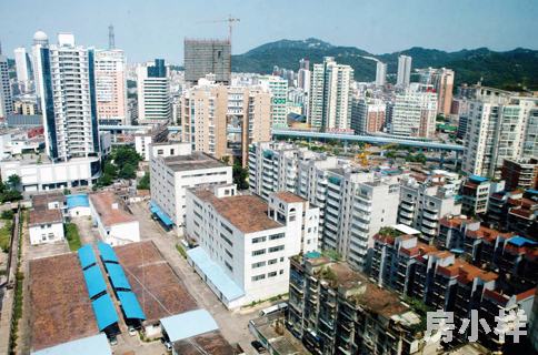 為什么深圳小產權房中，村委統建樓最受歡迎？