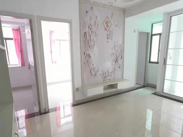 坂田四季家園五和地鐵口自住型房源