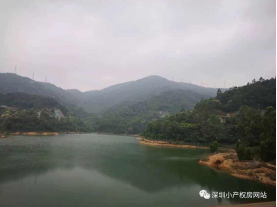 山水綠園一房一廳56平方，56.8萬/套起