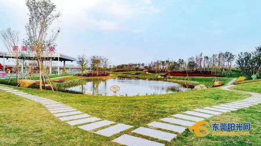 濱海明珠花園73-84平均價6380元/㎡