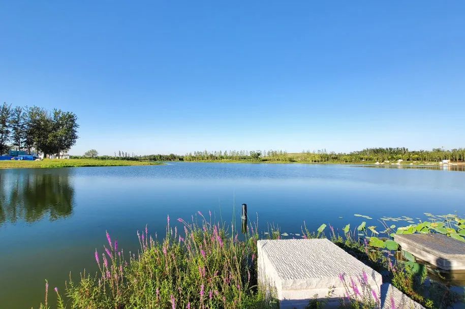 西紅門是大興這條線的龍頭板塊