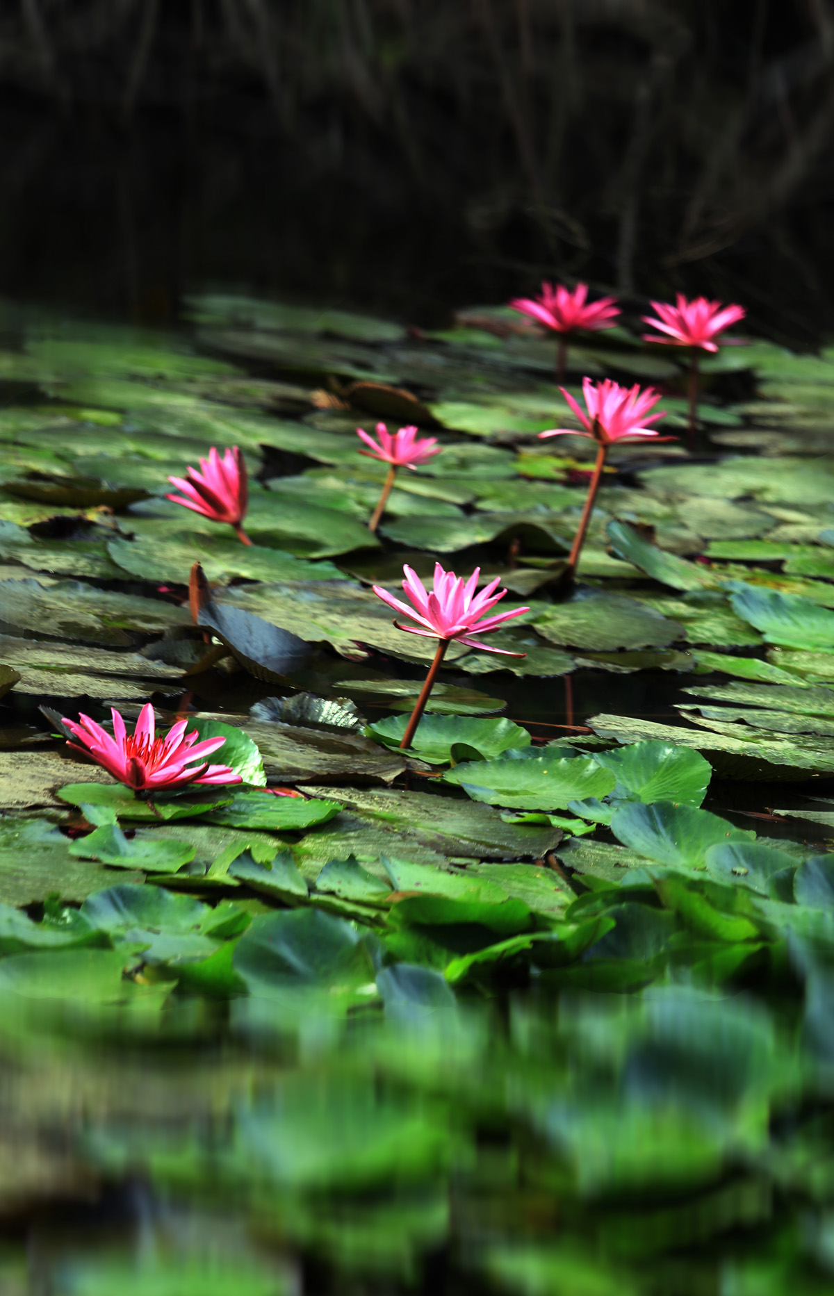 請(qǐng)問(wèn)泛海臨姚家園的兩居室可以買嗎