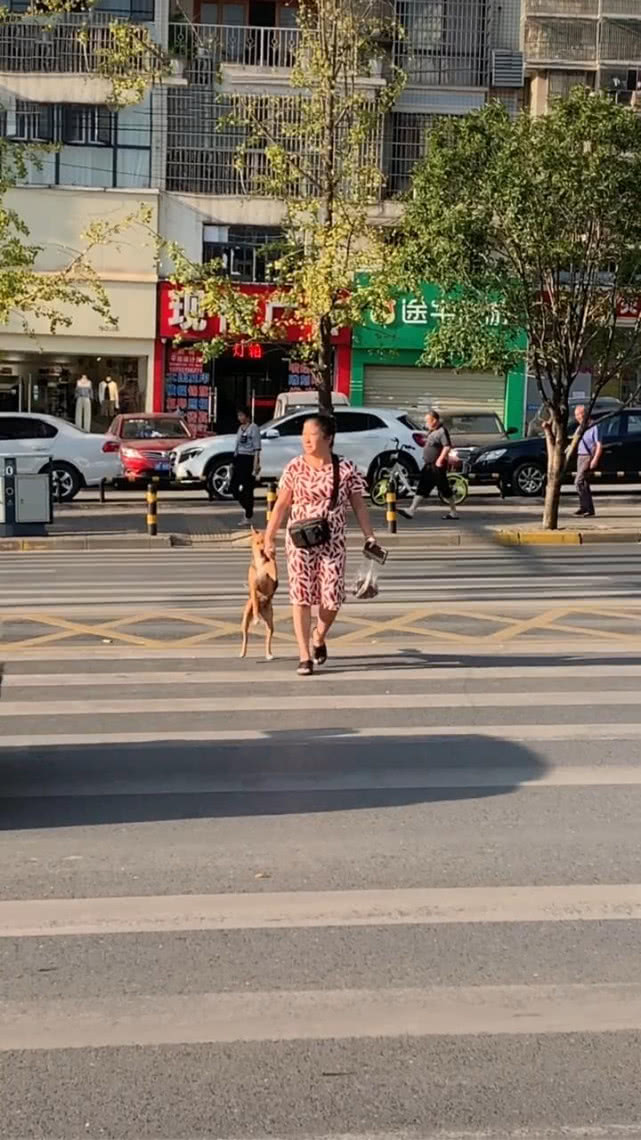 冼村大部分地塊房屋已經進入拆除階段