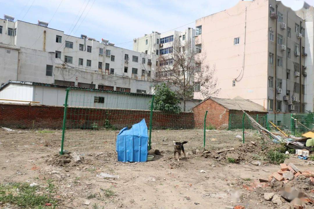 故六樓東西二戶業主維修了樓頂