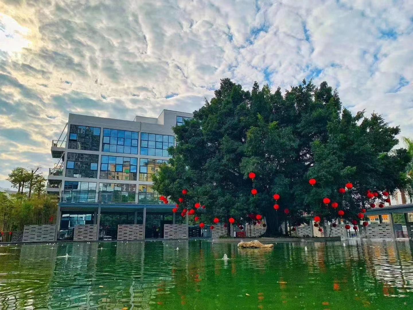 龍華區(qū)中心地段